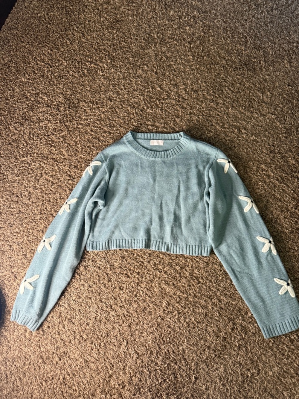 Altar'd State Light Blue Cropped Crewneck Sweater with White Daisy Accents